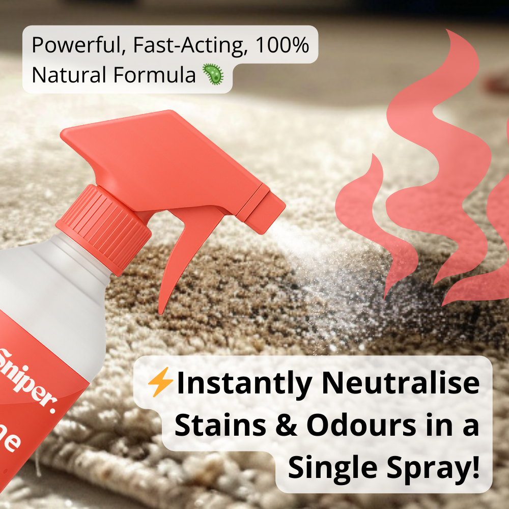 All In One: Pet Urine Stain & Odour Remover - Refill Concentrate