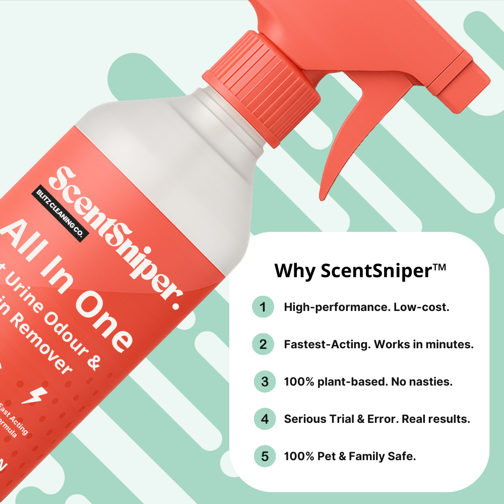 All In One: Pet Urine Stain & Odour Remover - Refill Concentrate