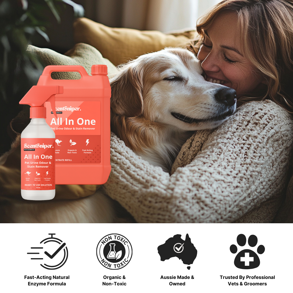 All In One: Pet Urine Stain & Odour Remover - Refill Concentrate